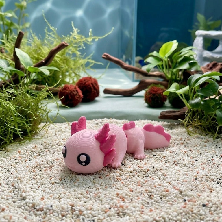 Cutie – Axolotl
